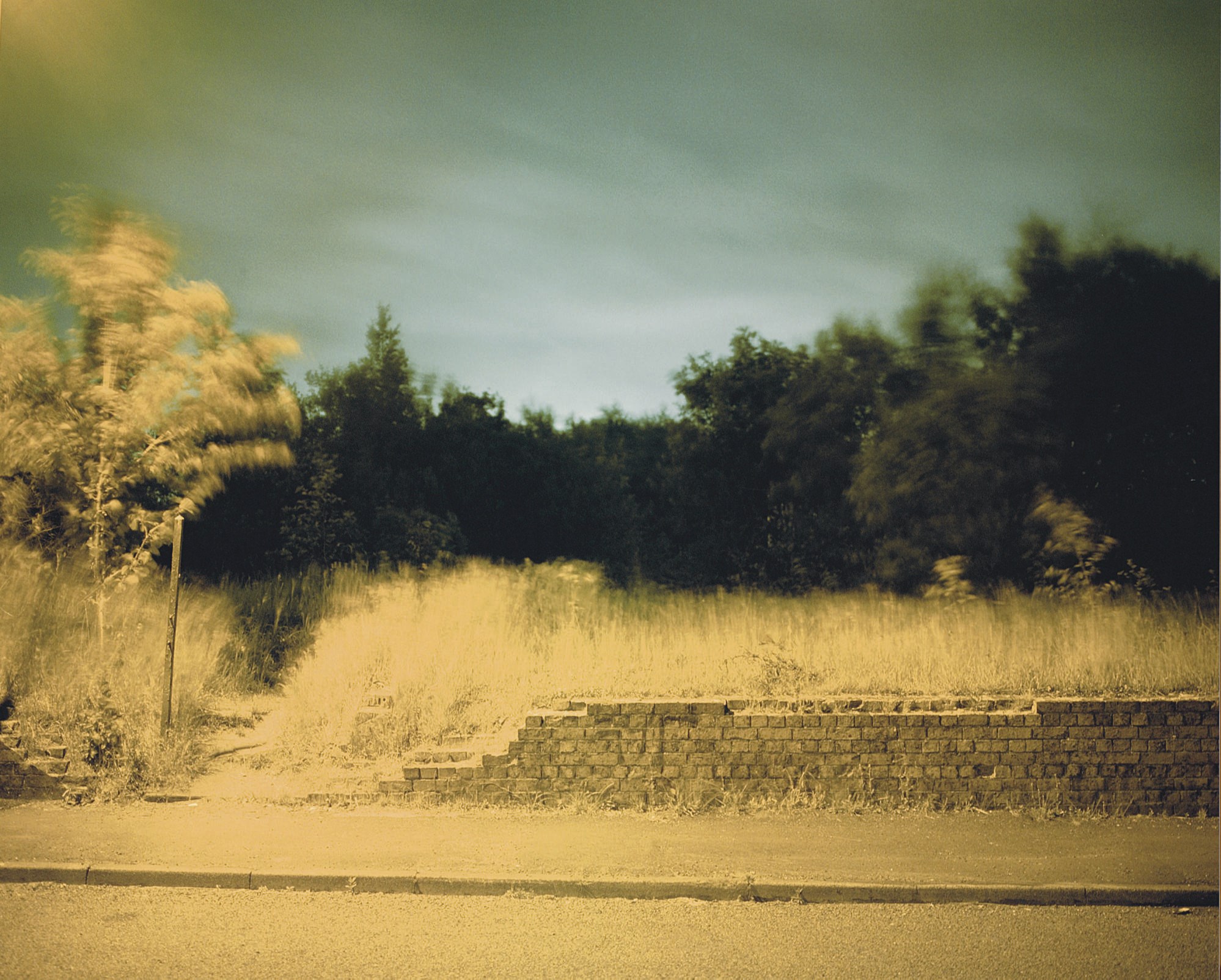 RICHARD BILLINGHAM (b.1970)
