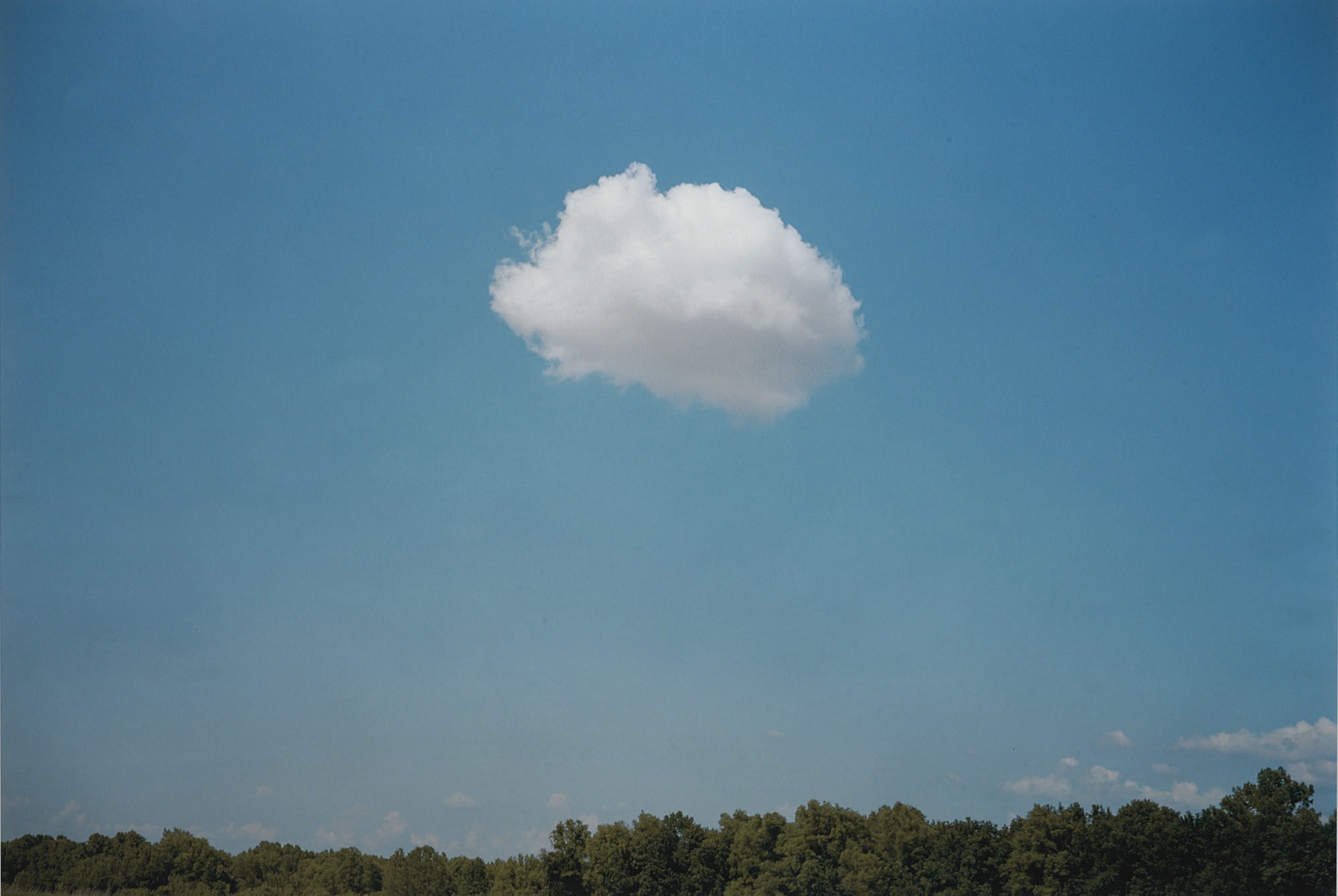 WILLIAM EGGLESTON (b.1939)