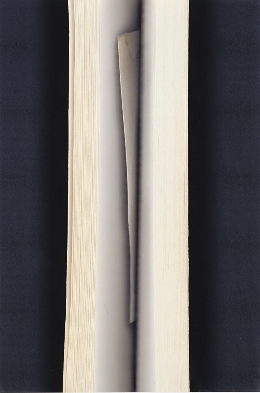 VERONICA BAILEY (b.1965)