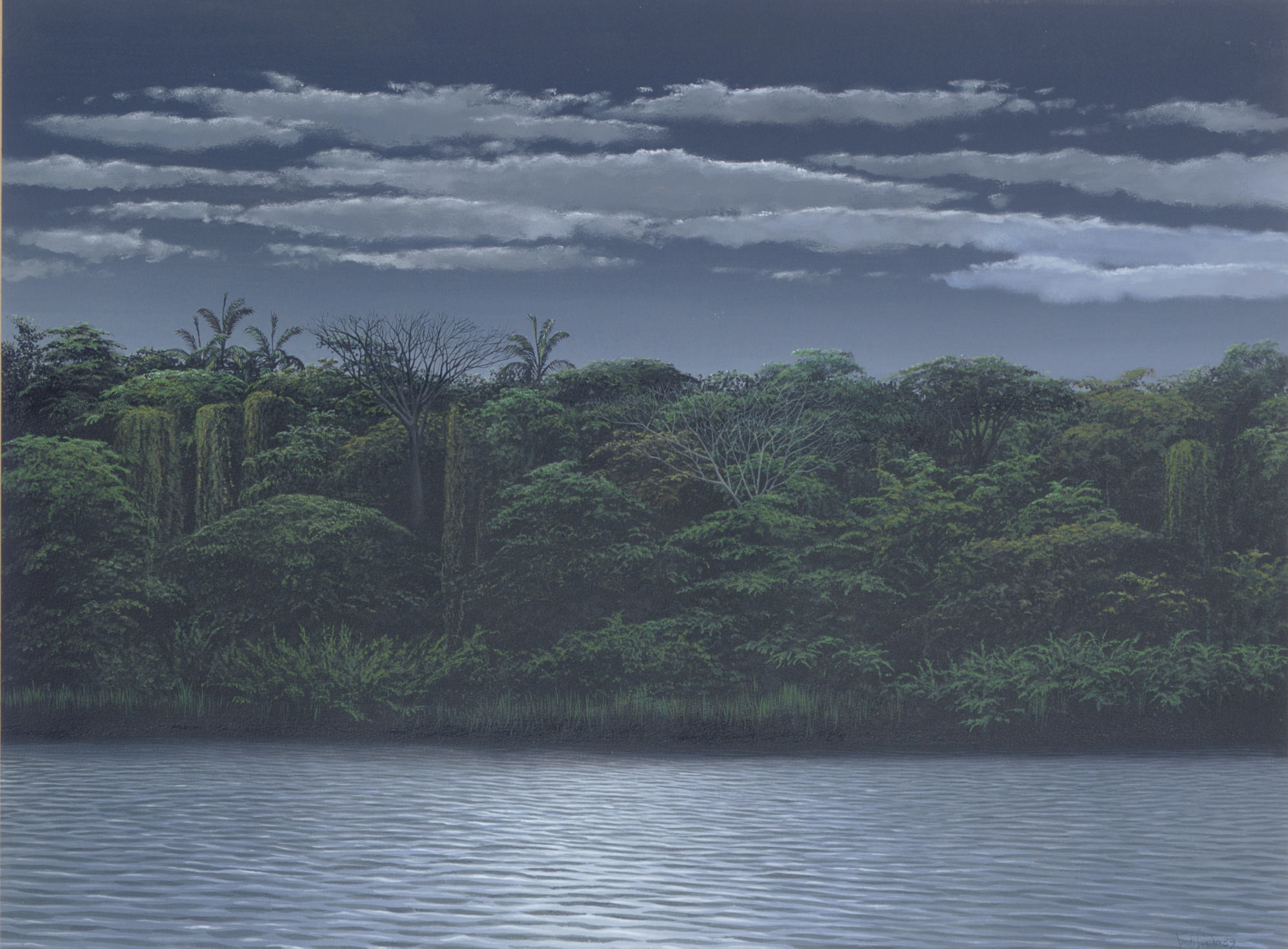 Tomás Sánchez (Cuban b. 1948)