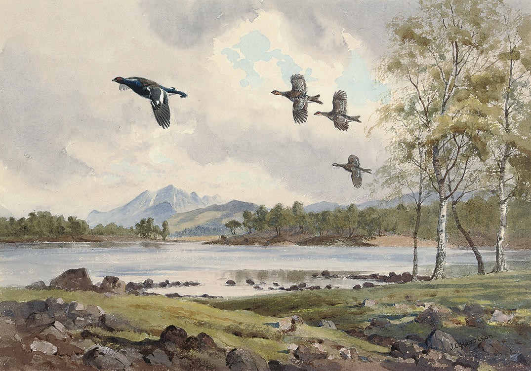 John Cyril Harrison (1898-1985)