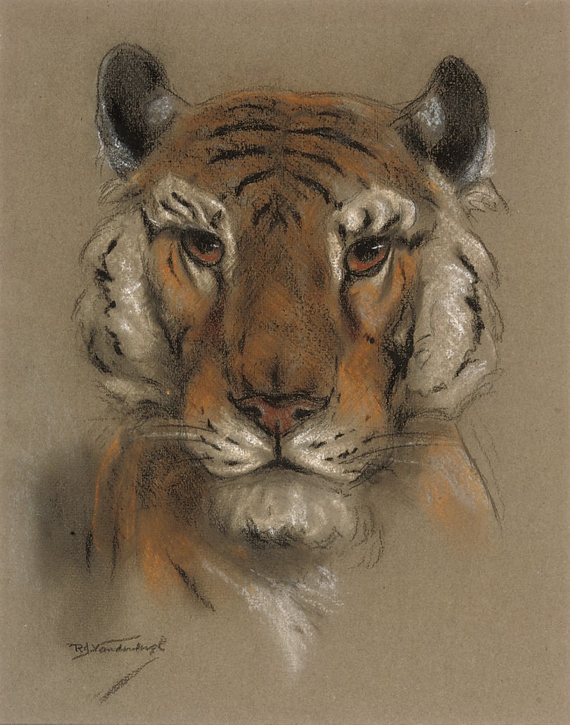 Raymond John Vandenbergh (b.1889)