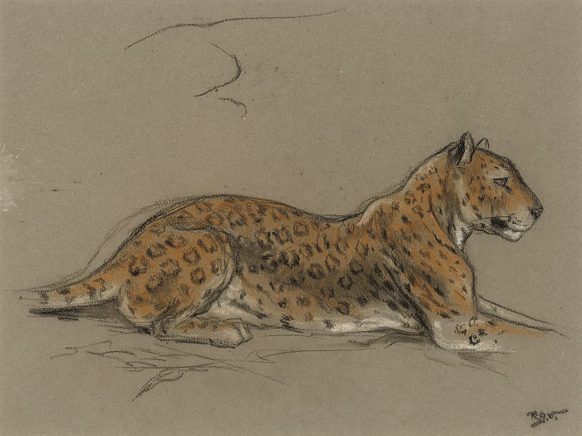 Raymond John Vandenbergh (b.1889)