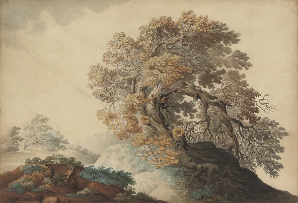 English School, 18th Century