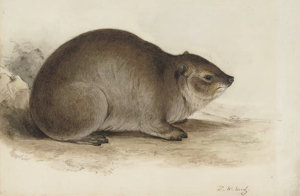 J.W. Wood, 19th Century