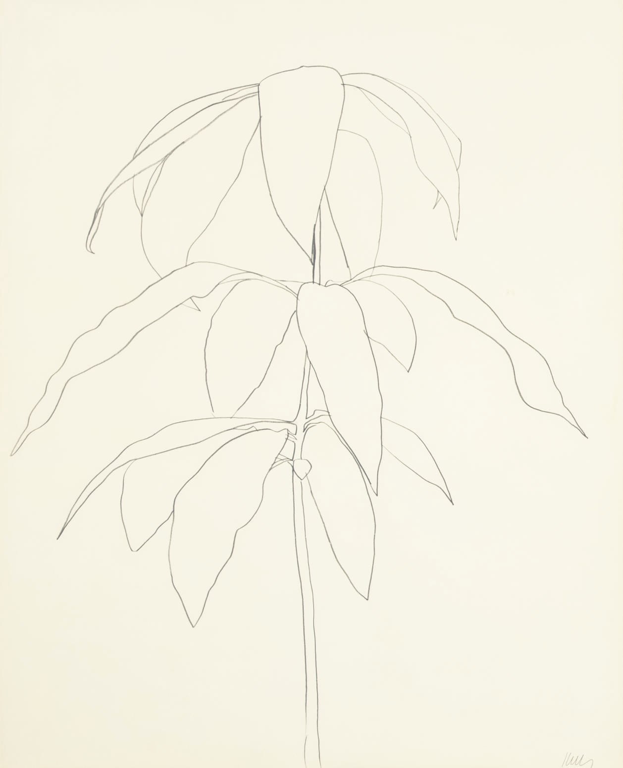 Ellsworth Kelly (b. 1923)