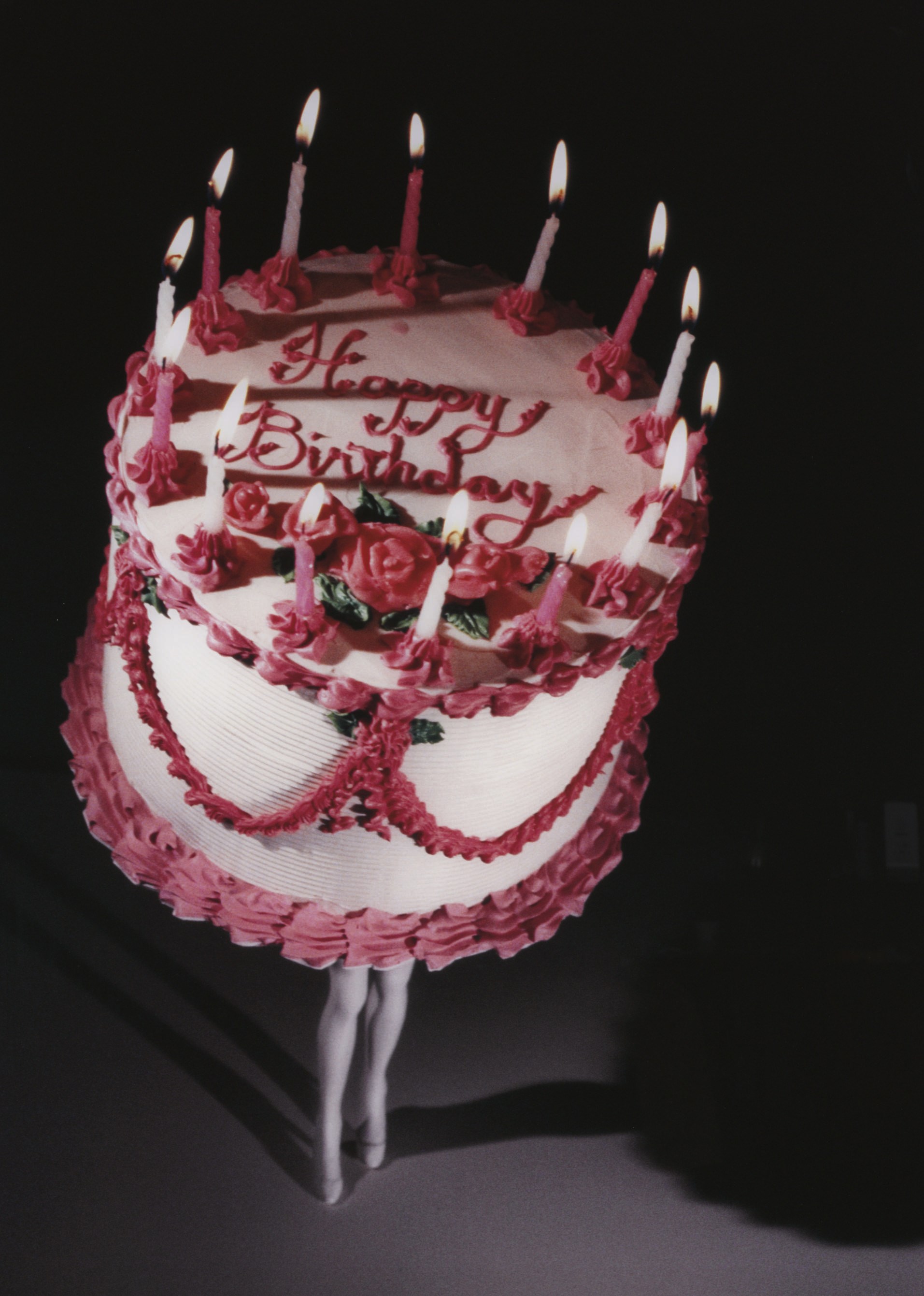 LAURIE SIMMONS (B. 1949)