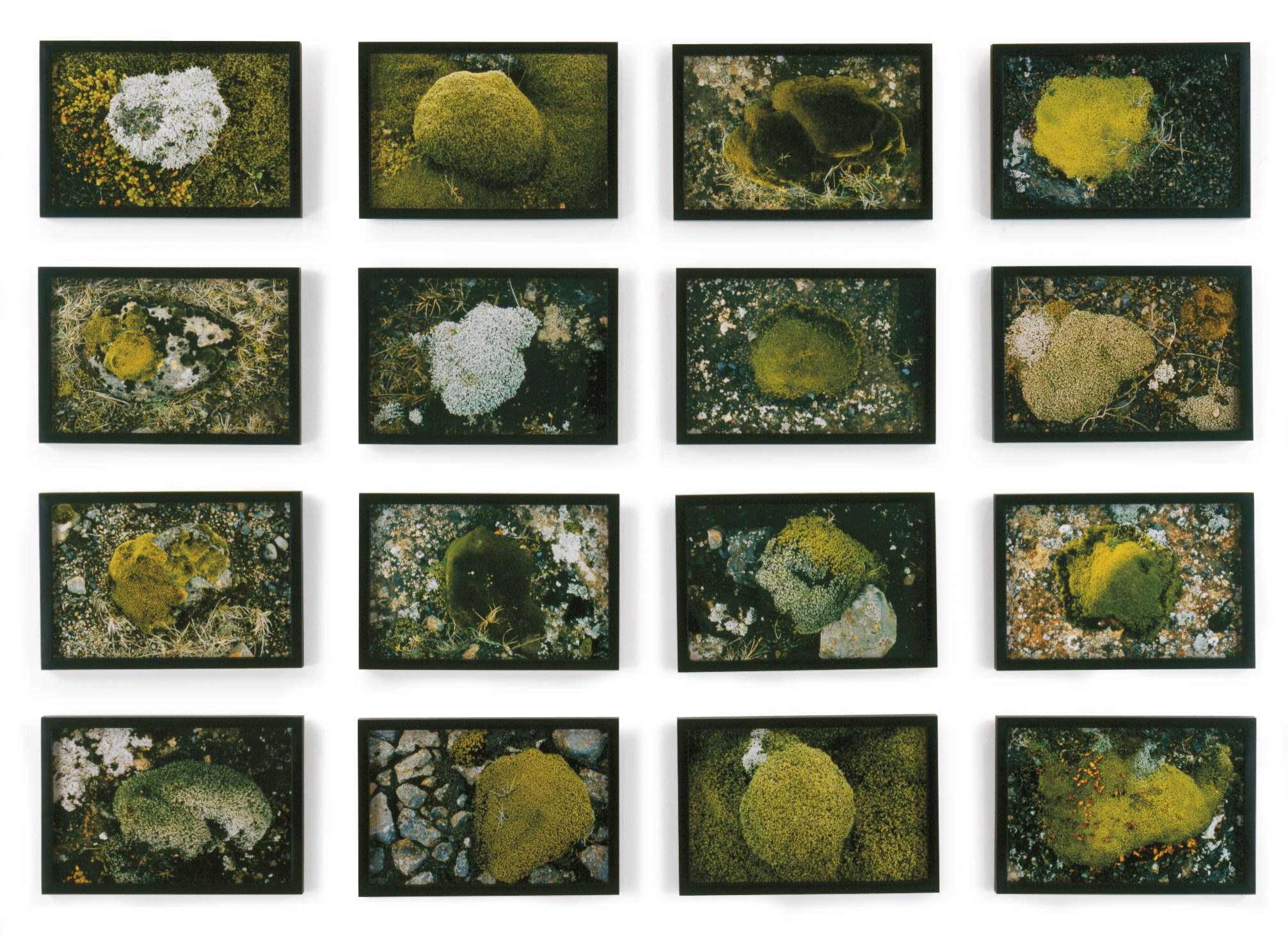 OLAFUR ELIASSON (B. 1967)
