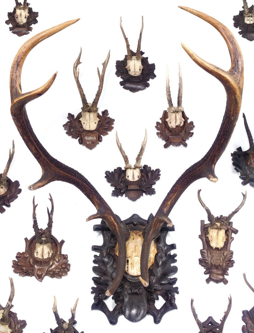 A COLLECTION OF BLACK FOREST DEER AND STAG ANTLERS
