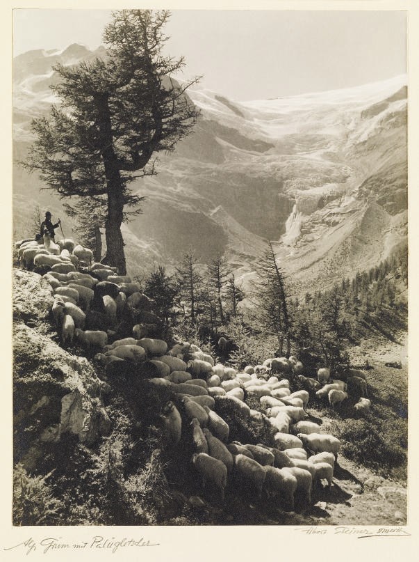 ALBERT STEINER (1877-1965)