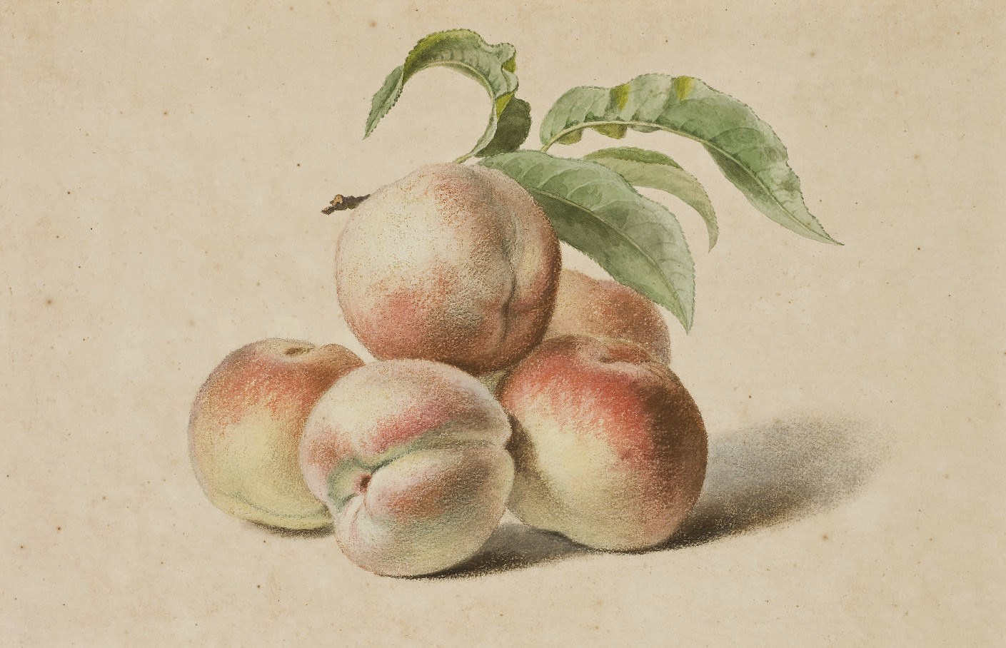 PANCRACE BESSA (PARIS 1772-1846 ECOUEN)