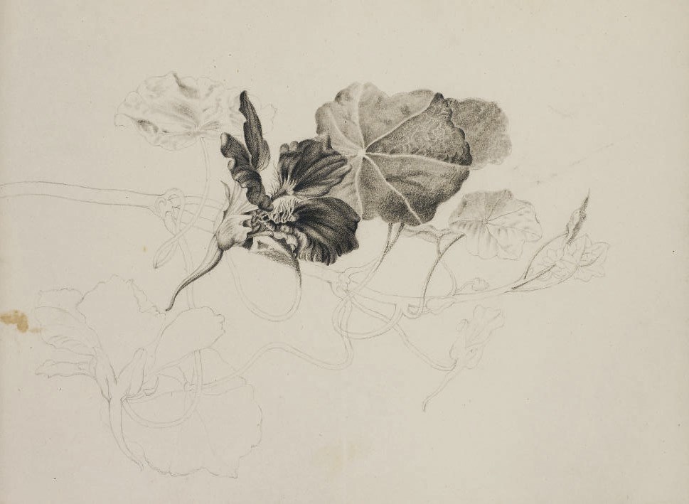 PANCRACE BESSA (PARIS 1772-1846 ECOUEN)