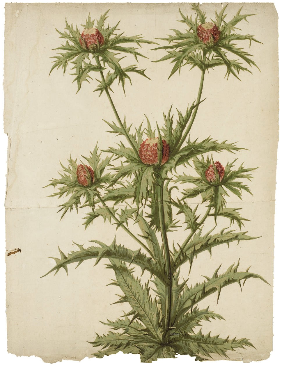 PANCRACE BESSA (PARIS 1772-1846 ECOUEN)