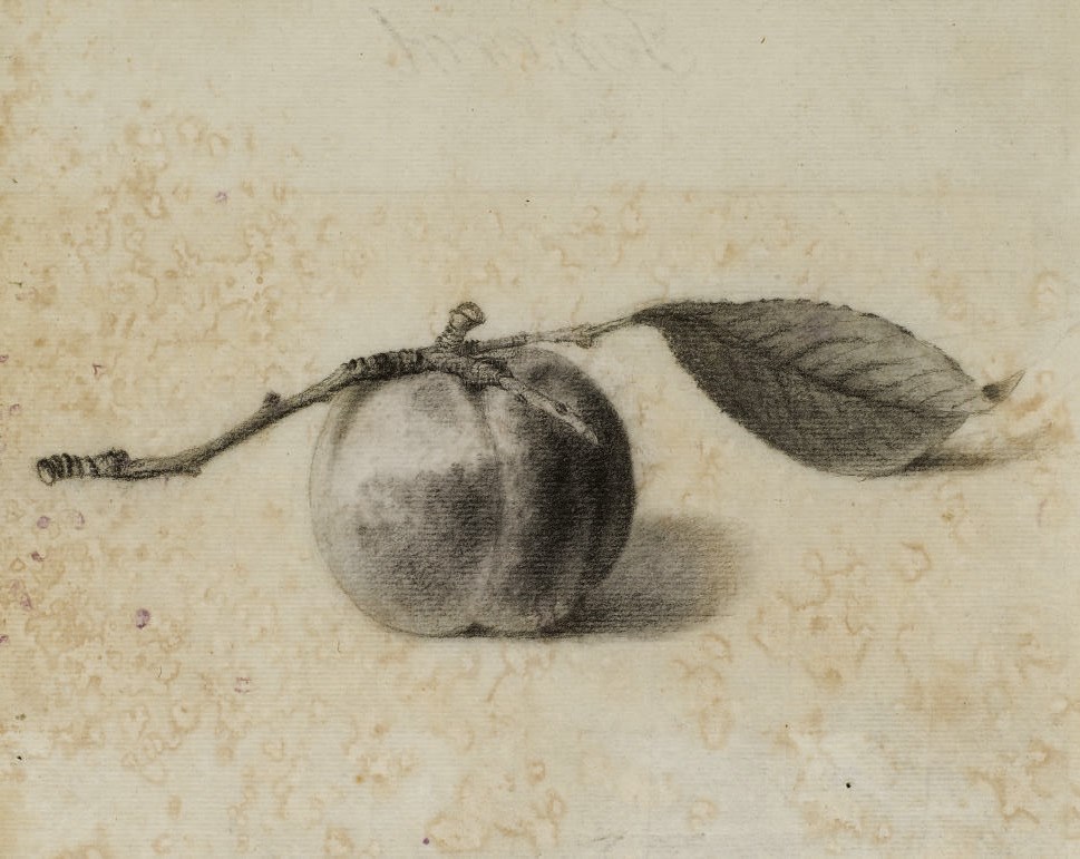 PANCRACE BESSA (PARIS 1772-1846 ECOUEN)