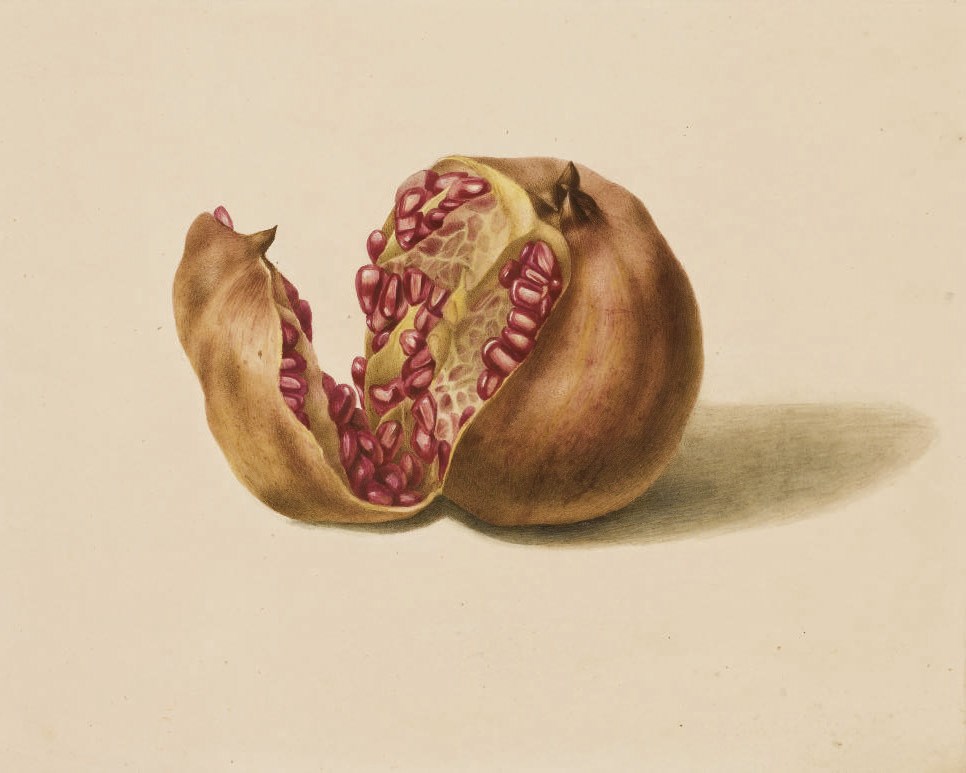 PANCRACE BESSA (PARIS 1772-1846 ECOUEN)