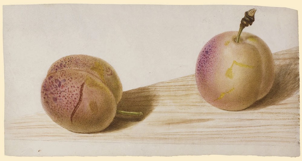 PANCRACE BESSA (PARIS 1772-1846 ECOUEN)