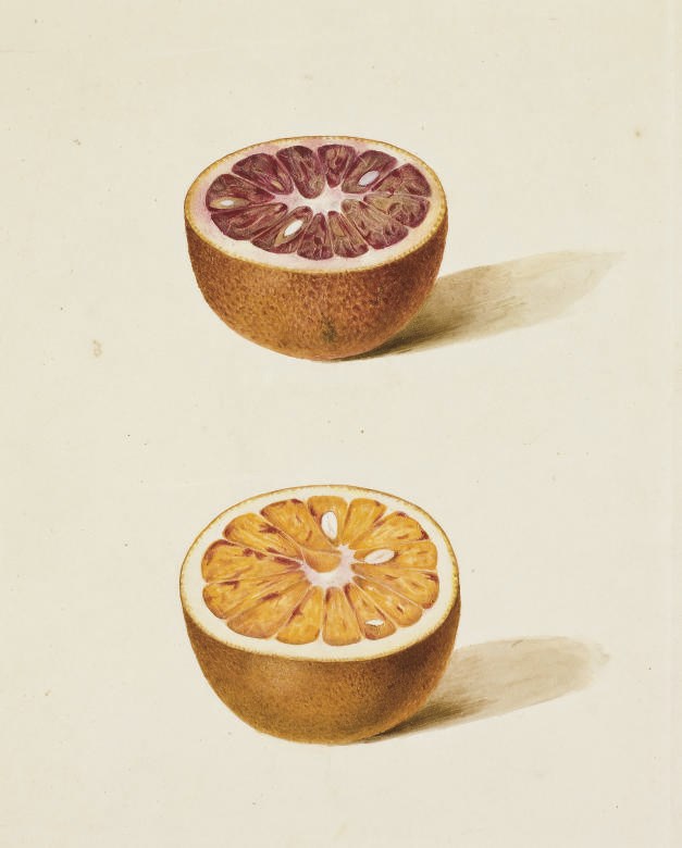 PANCRACE BESSA (PARIS 1772-1846 ECOUEN)