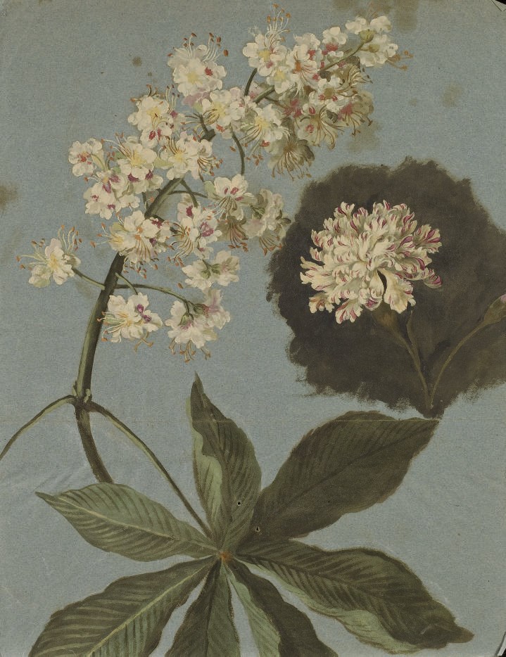 PANCRACE BESSA (PARIS 1772-1846 ECOUEN)