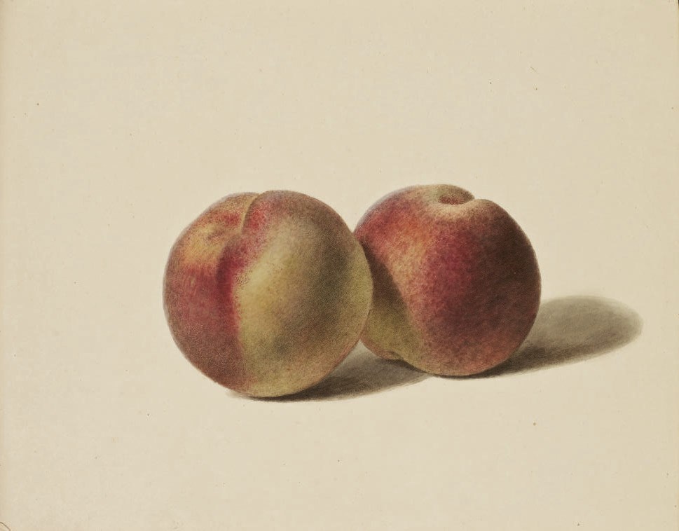 PANCRACE BESSA (PARIS 1772-1846 ECOUEN)