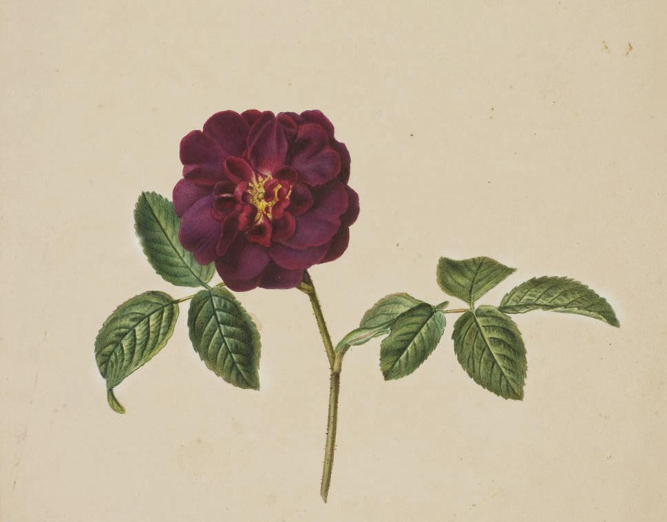 PANCRACE BESSA (PARIS 1772-1846 ECOUEN)