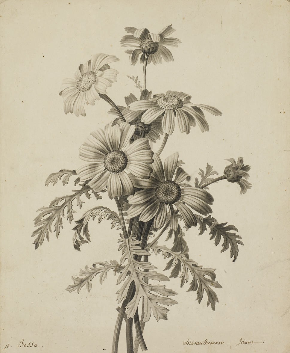 PANCRACE BESSA (PARIS 1772-1846 ECOUEN)