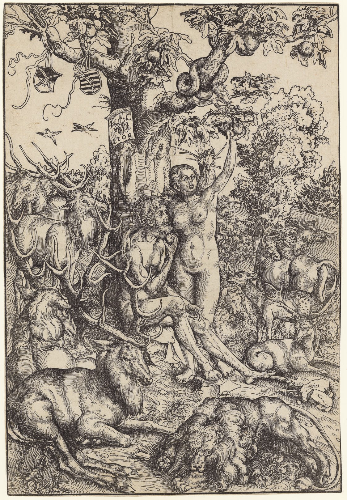 Lucas Cranach the Elder (1472-1553)