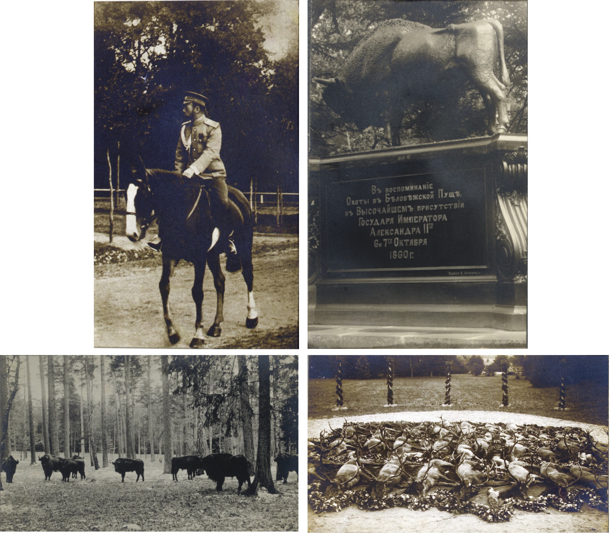 An album of the Belovezha Forest and the Imperial visit of Nicholas II