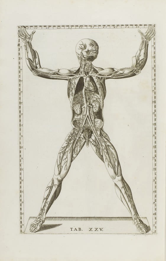EUSTACHIUS, Bartolomeo (?1510-1574). Tabulae anatomicae clarissimi viri Bartholomaei Eustachii quas è tenebris tandem vindicatas et Clementis Papae XI, Munificentia dono acceptas, praefatione, ac notis illustravit Joh. Maria Lancisius. Rome: Pagliarini, 1728.
