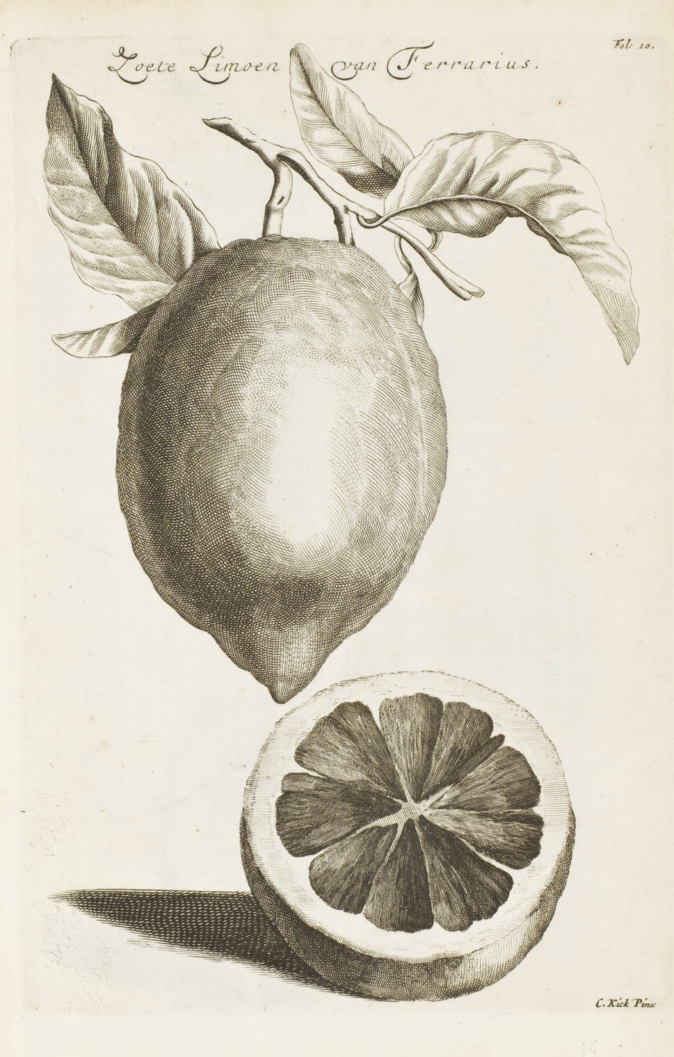 CAUSE, Henrik (1648-1699). De Koningklycke Hovenier. Aanwyzende de Middelen om Boomen, Bloemen en Kruyden te Zayen, planten aen queeken en voort teelen. Amsterdam: Marcus Doornick, [1676]. Titre gravé (coupé avec perte et anciennement remonté) et 31 planches dont 2 vues, 13 de botanique et 16 d'architecture de jardins. (Bruni, partiellement dérelié.)