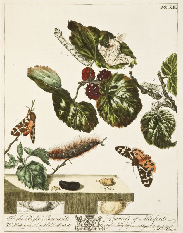 [HARRIS, Moses (1730-1787/89). The Aurelian. Londres: pour l'auteur, 1766.]