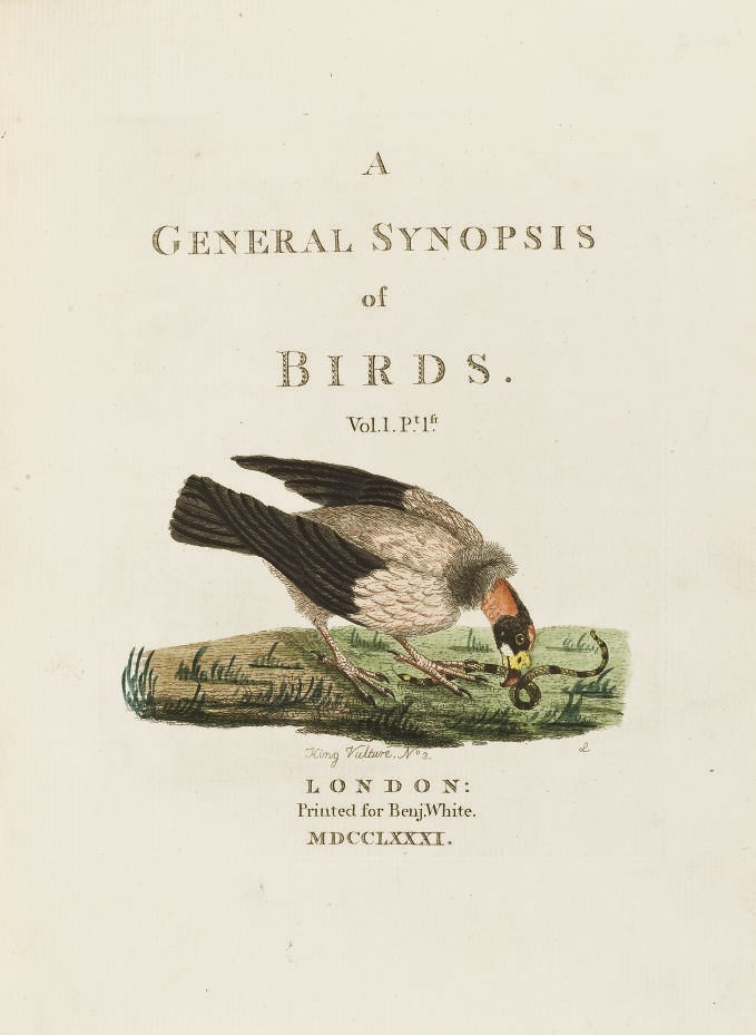 LATHAM, John (1740-1837). A General Synopsis of Birds. Londres: Benjamin White (volume I, parties 1 à 2) et Leigh & Sotheby (volumes 2 à 3), 1781-1785. --Supplement to the General Synopsis. Londres: Leigh & Sotheby, 1787.