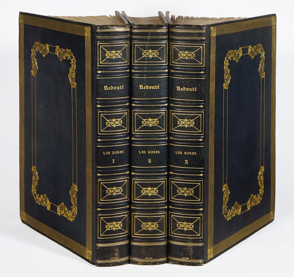 REDOUTÉ, Pierre-Joseph (1759-1840). Les Roses peintes par P.J. Redouté, décrites et classées selon leur ordre naturel, par C.A. Thory. Troisième édition publiée sous la direction de M. Pirolle. Paris: P. Durfart, 1828-1829.