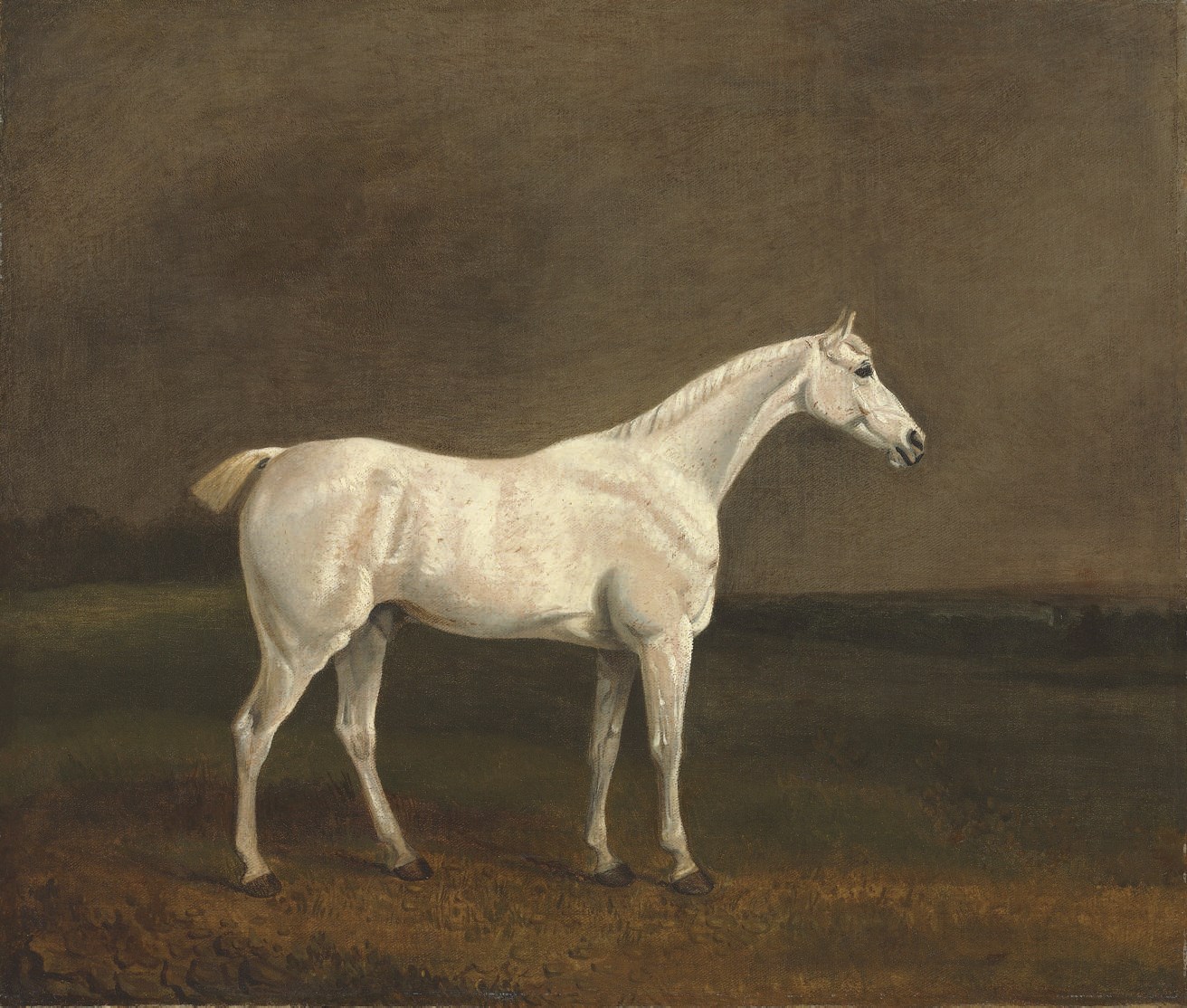 Edwin Cooper (British, 1785-1833)