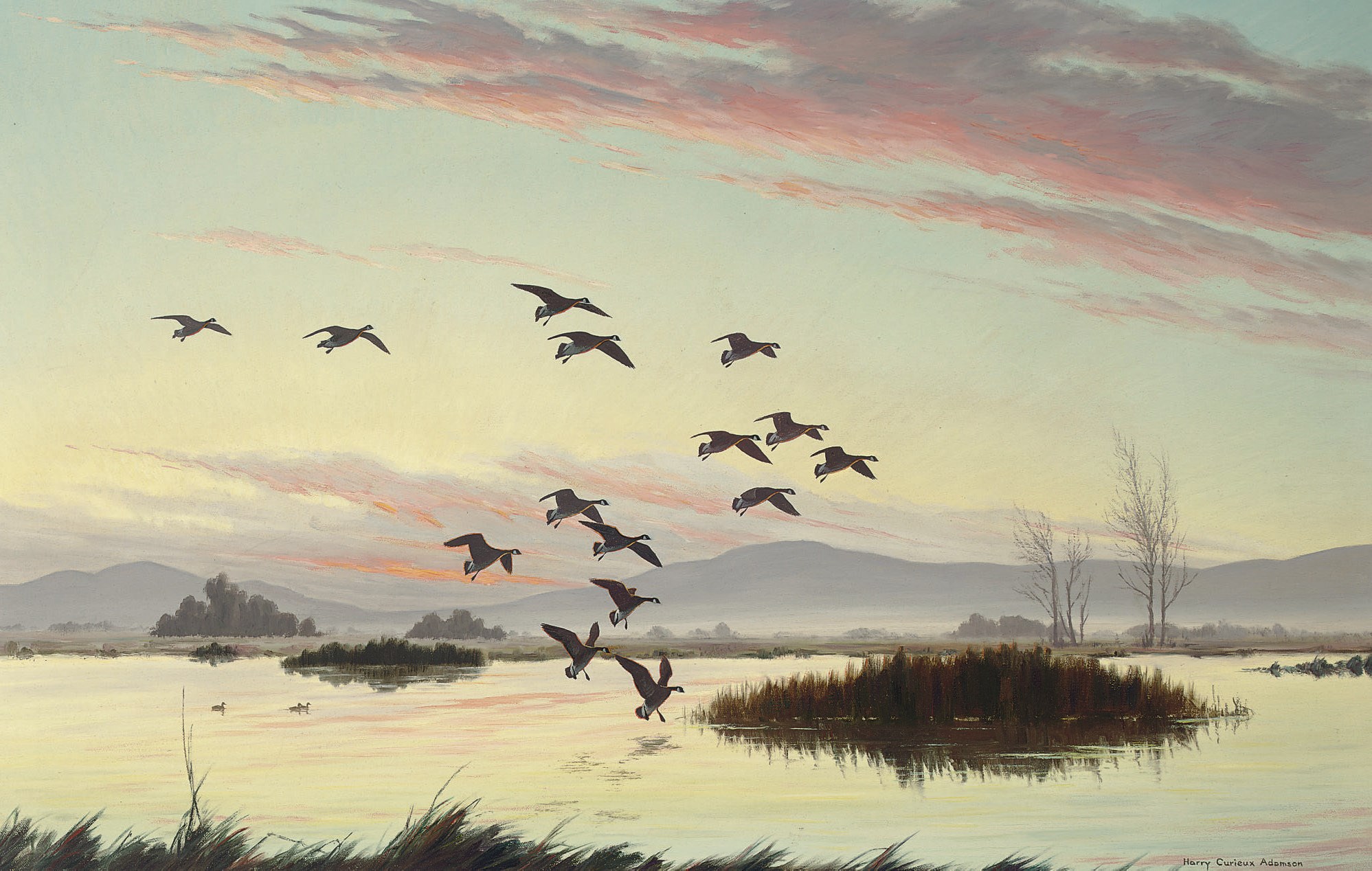 Harry Curieux Adamson (American, b.1916)