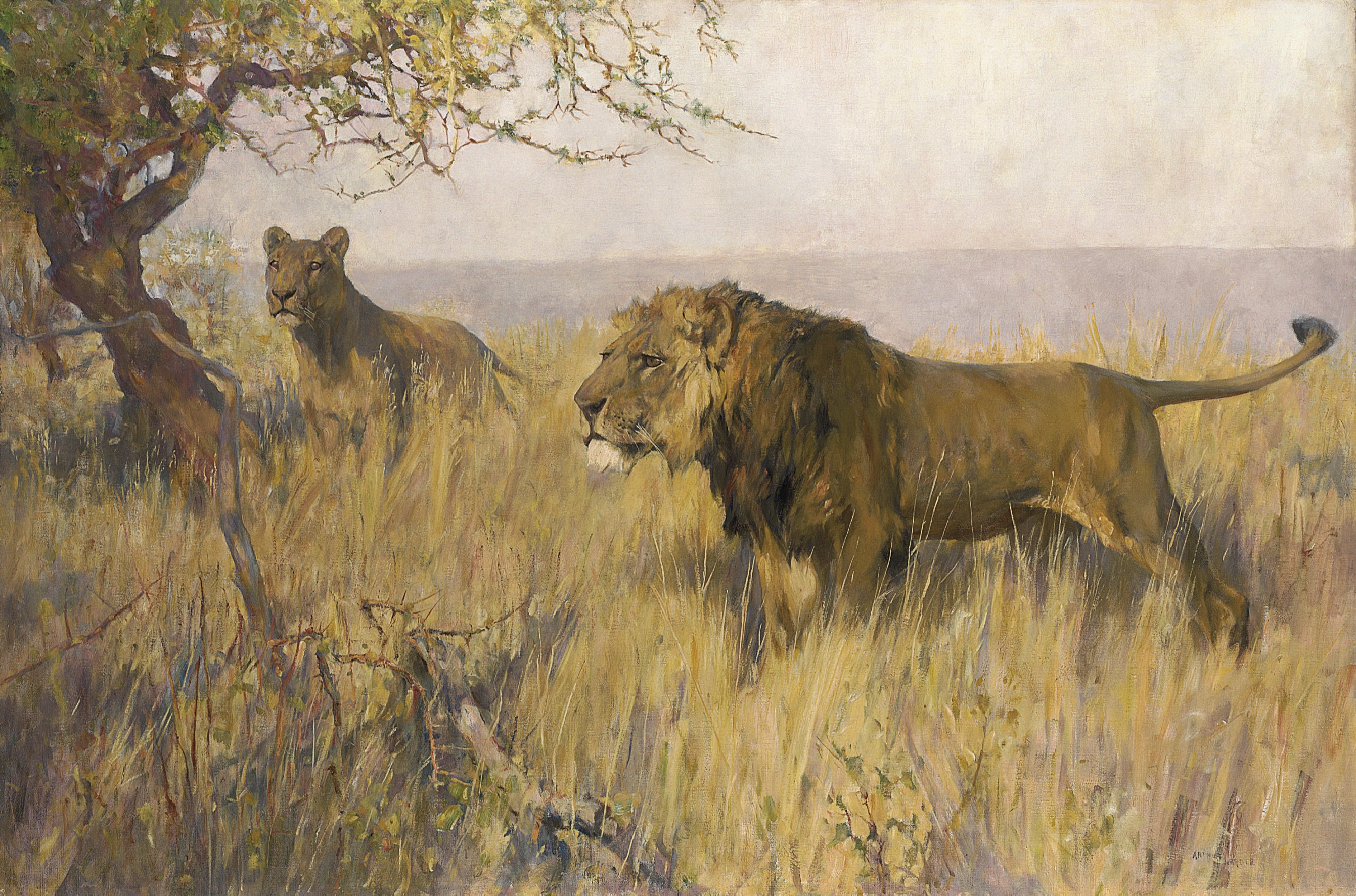 Arthur Wardle (British, 1864-1949)