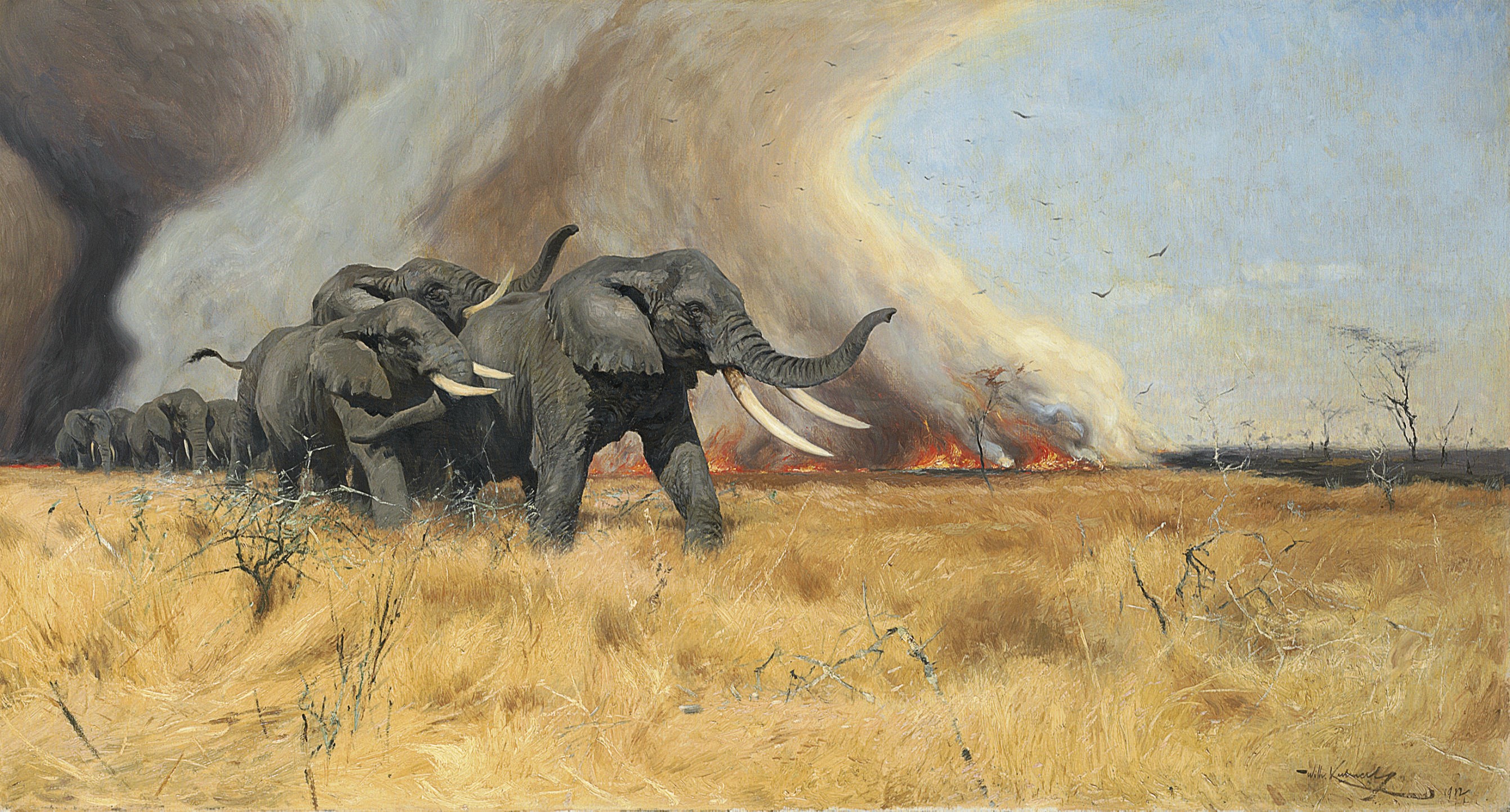 Wilhelm Friedrich Kuhnert (German, 1865-1926)