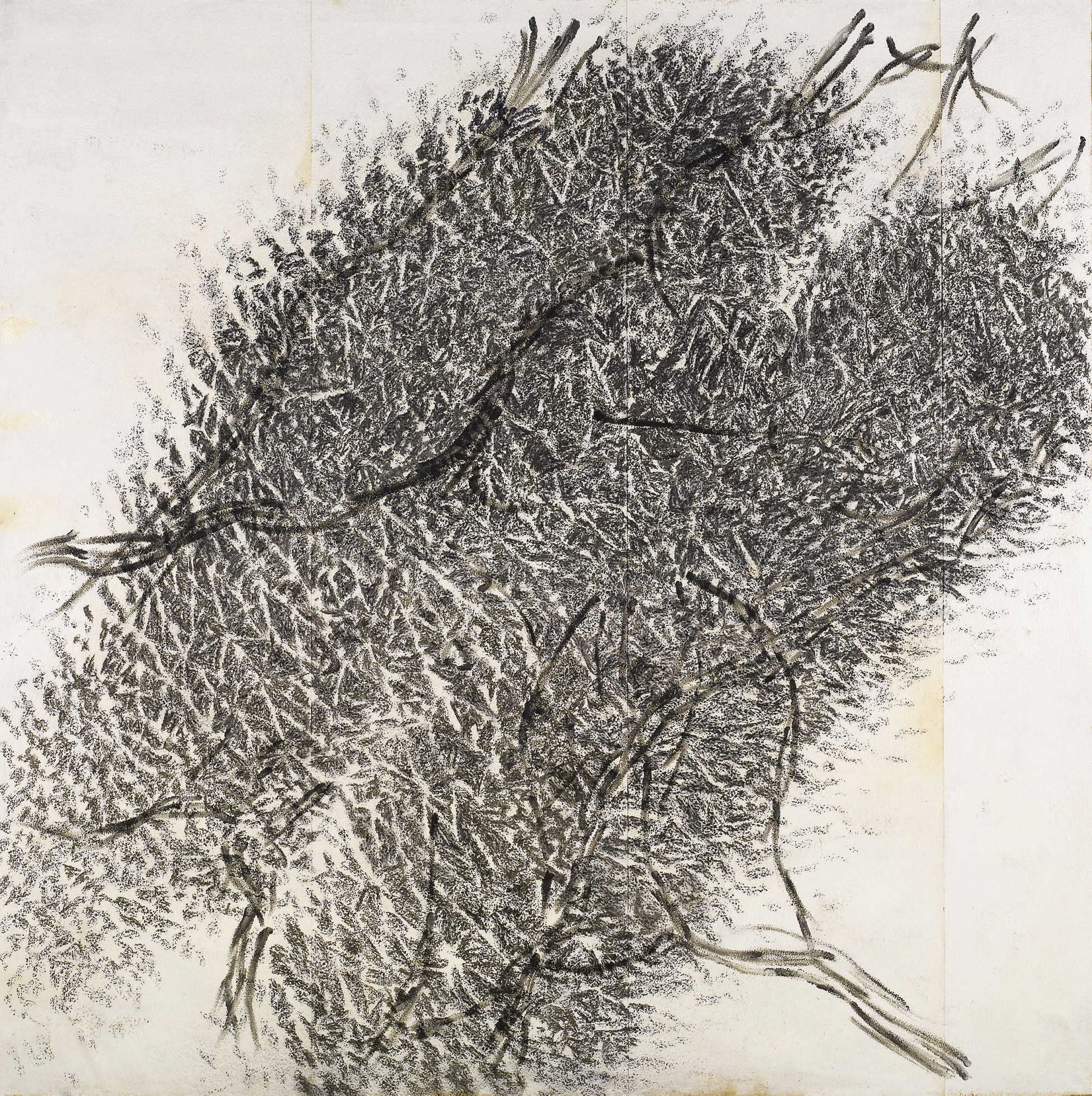 Giuseppe Penone (N. 1947)
