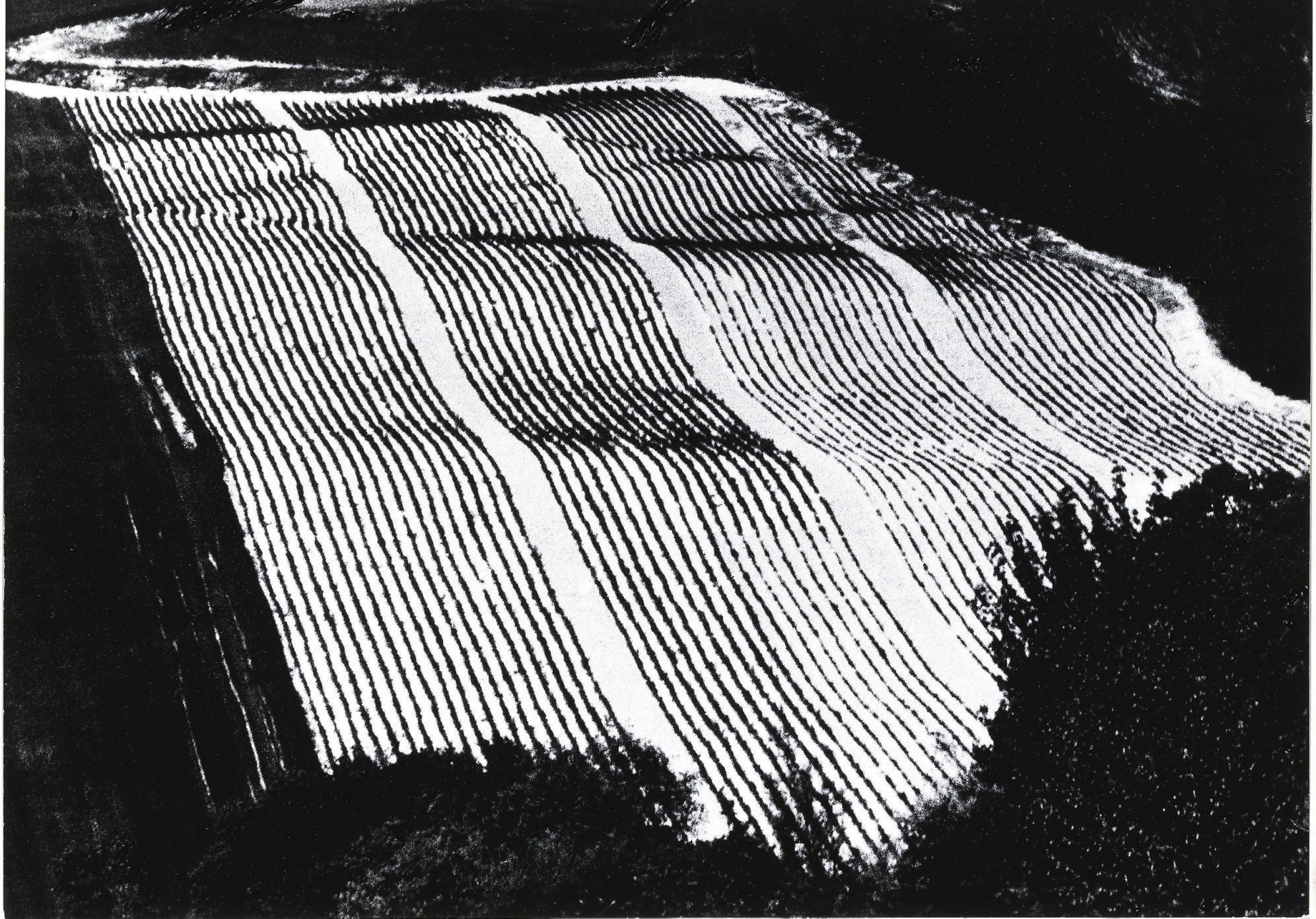 Mario Giacomelli (1925-2000)