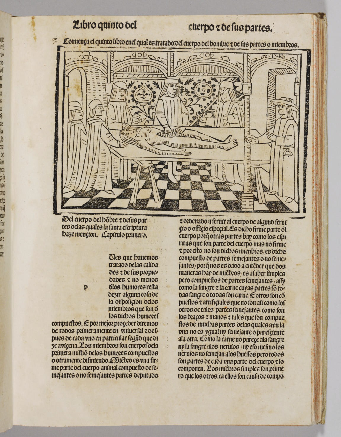 BARTHOLOMAEUS ANGLICUS. [De proprietatibus rerum]. - El libro de prop[r]ietatibus rerum. Translated into Spanish by Vicente de Burgos. Toulouse: Henricus Mayer, 18 September 1494.