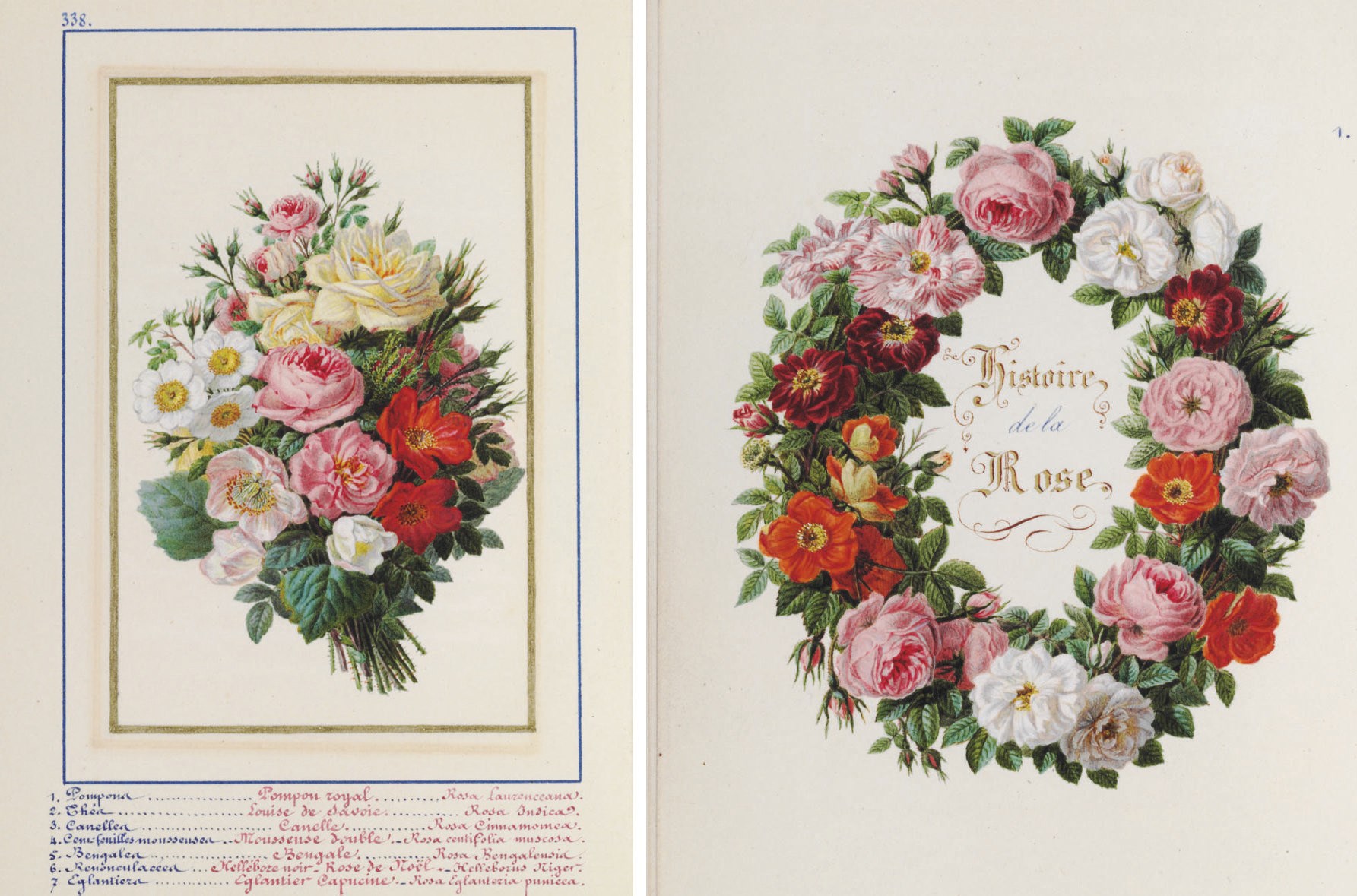 [MANUSCRIPT--FLORAL]. REMBERT, Ferdinand. Les Roses. [Paris]: Léon Curmer, 1861 [Curmer's introductory leaf dated 1863].