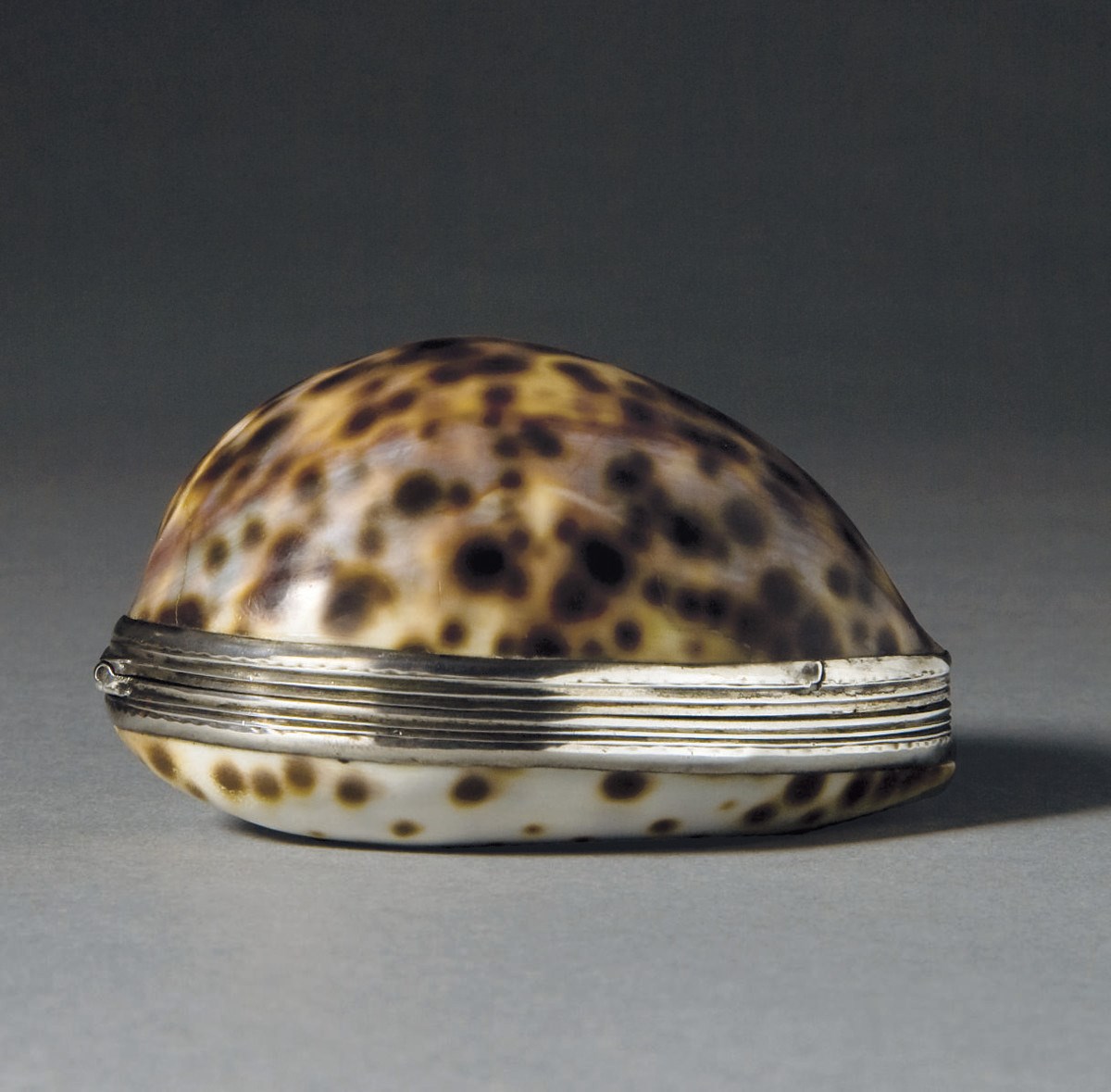 TABATIERE EN ARGENT ET COQUILLAGE