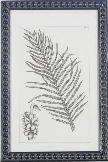 Pierre Bouchoz (18th Century)