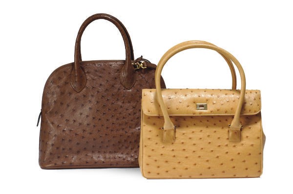 BOTTEGA VENETA AND LAMBERTSON TRUEX**,