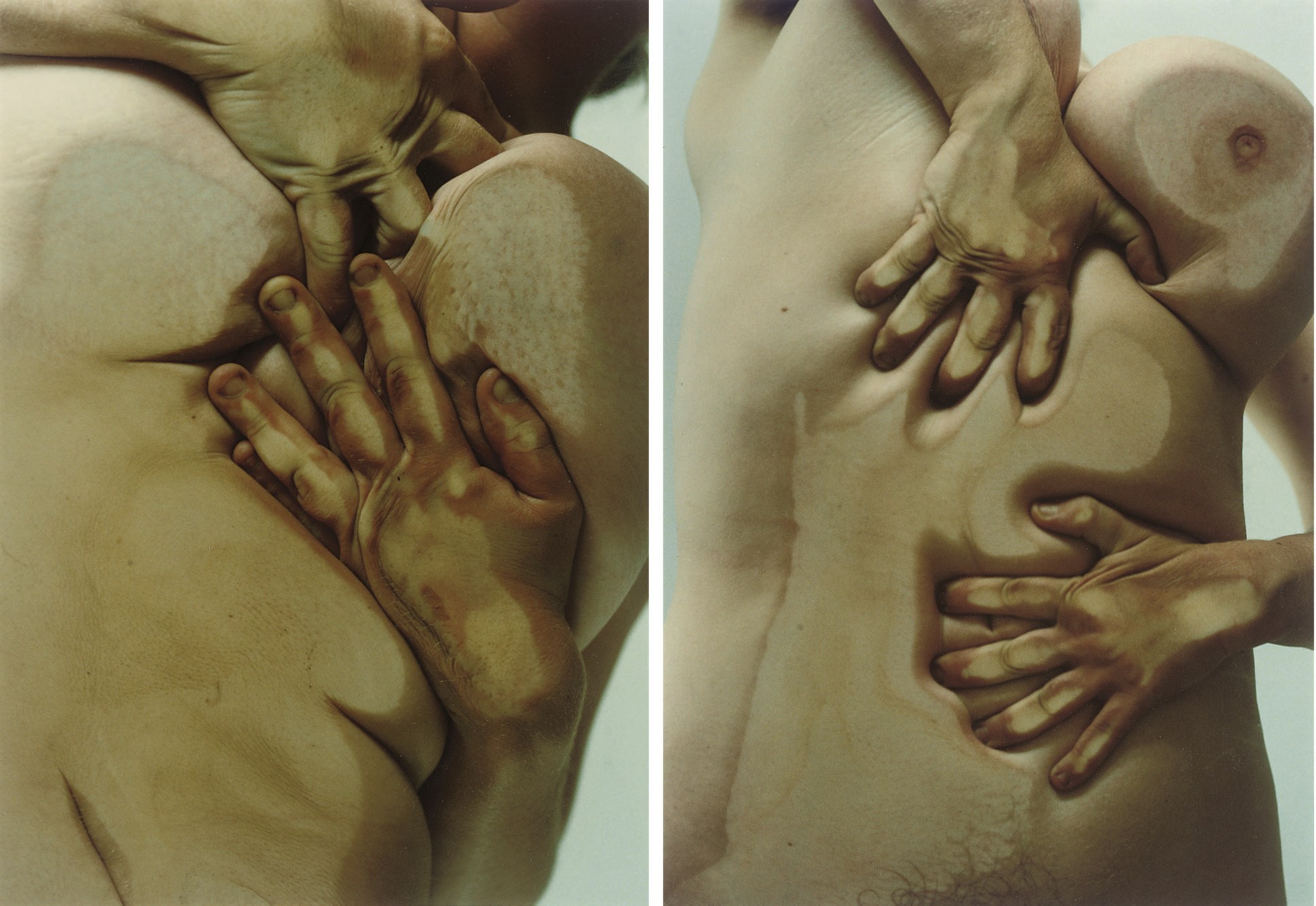 Jenny Saville (b. 1970)