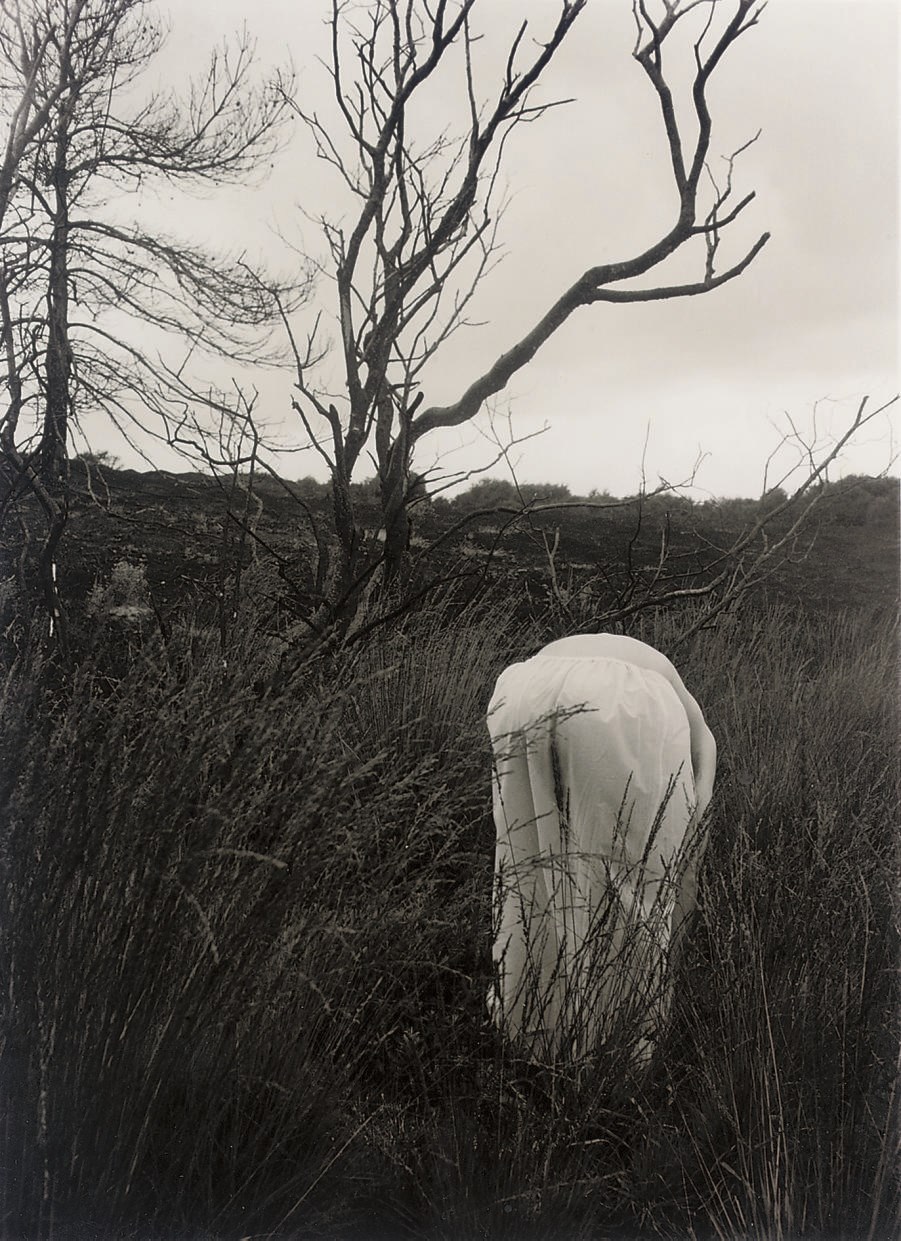 Wolfgang Tillmans (b. 1968)
