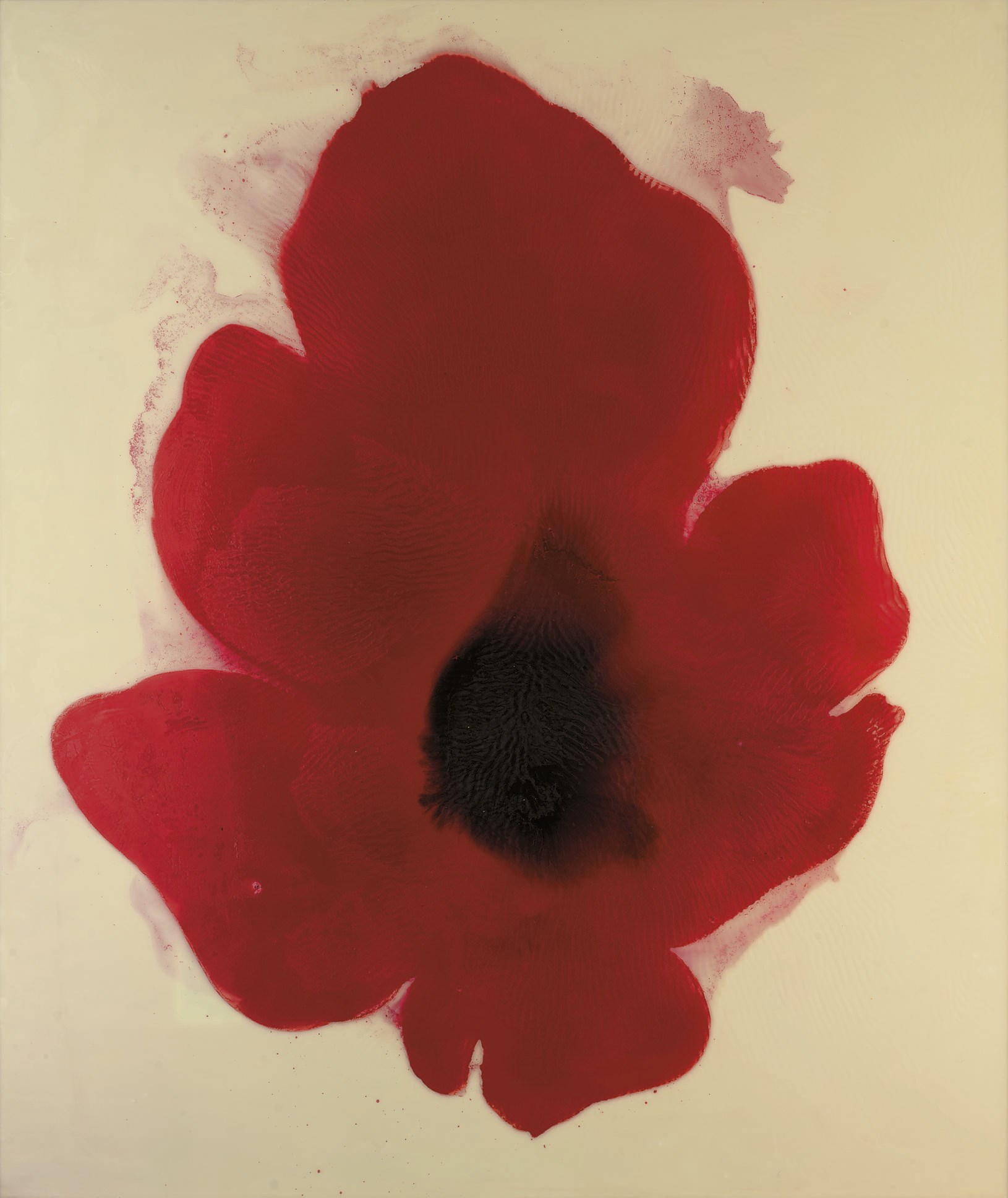 José María Sicilia (b. 1954)