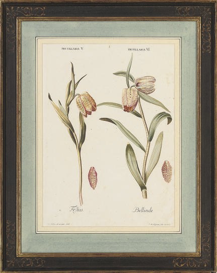 Johan Michael Seligmann (1720-1762), and others