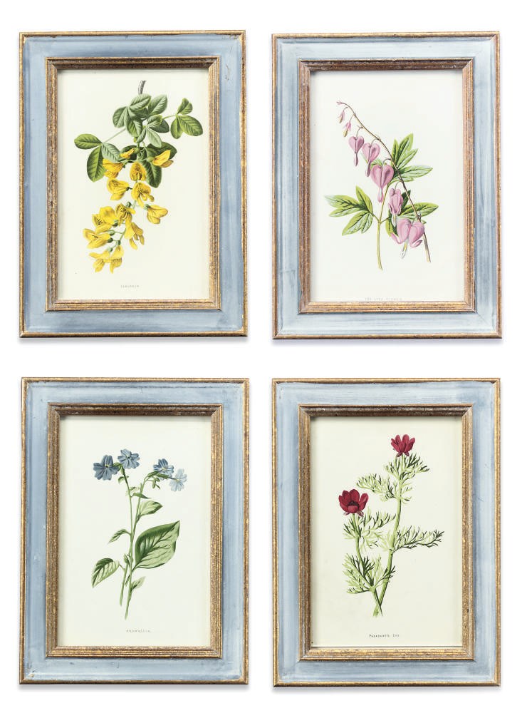 A SET OF TWENTY FOUR LITHOGRAPHS OF BOTANICAL INTEREST