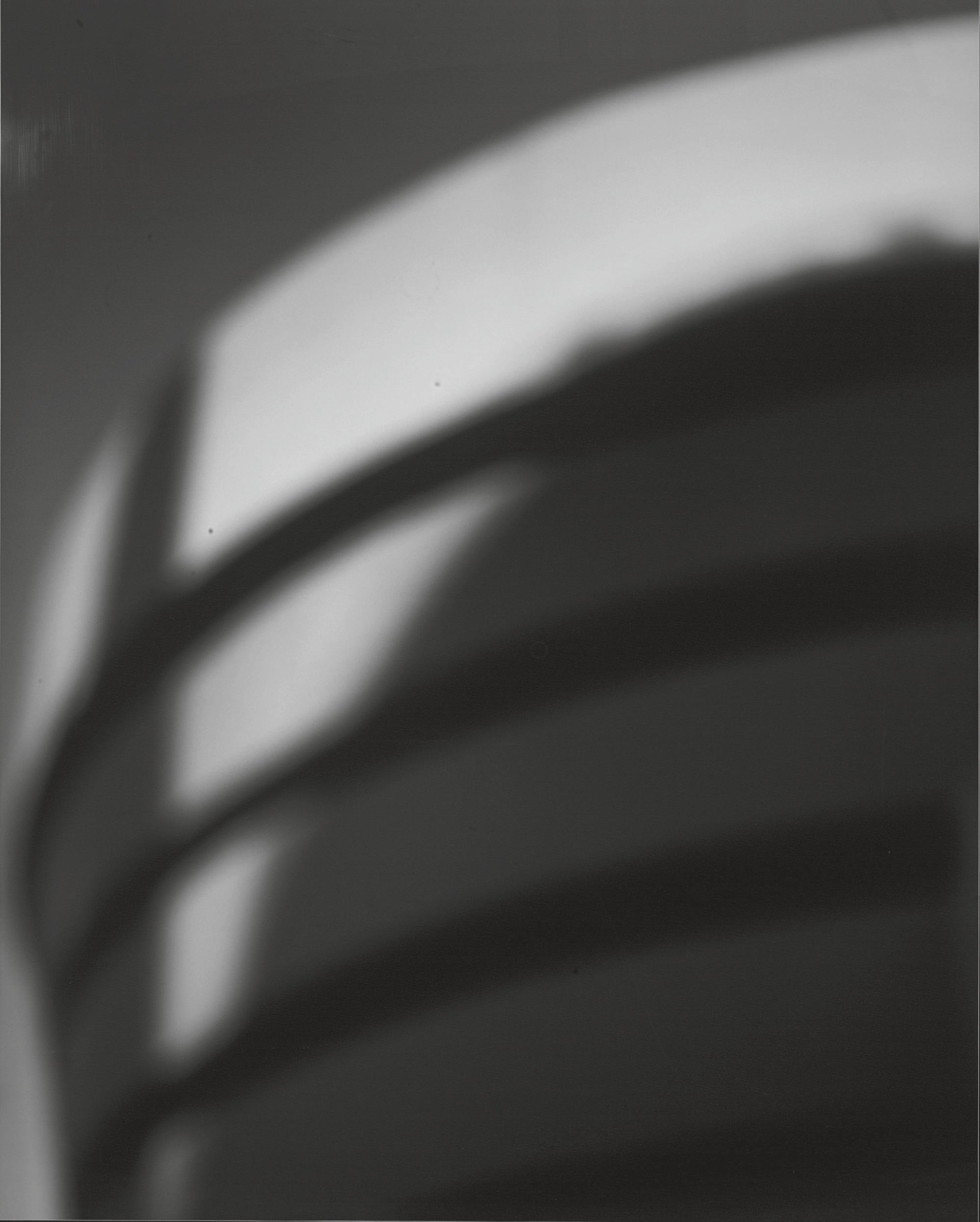 HIROSHI SUGIMOTO (B. 1948)