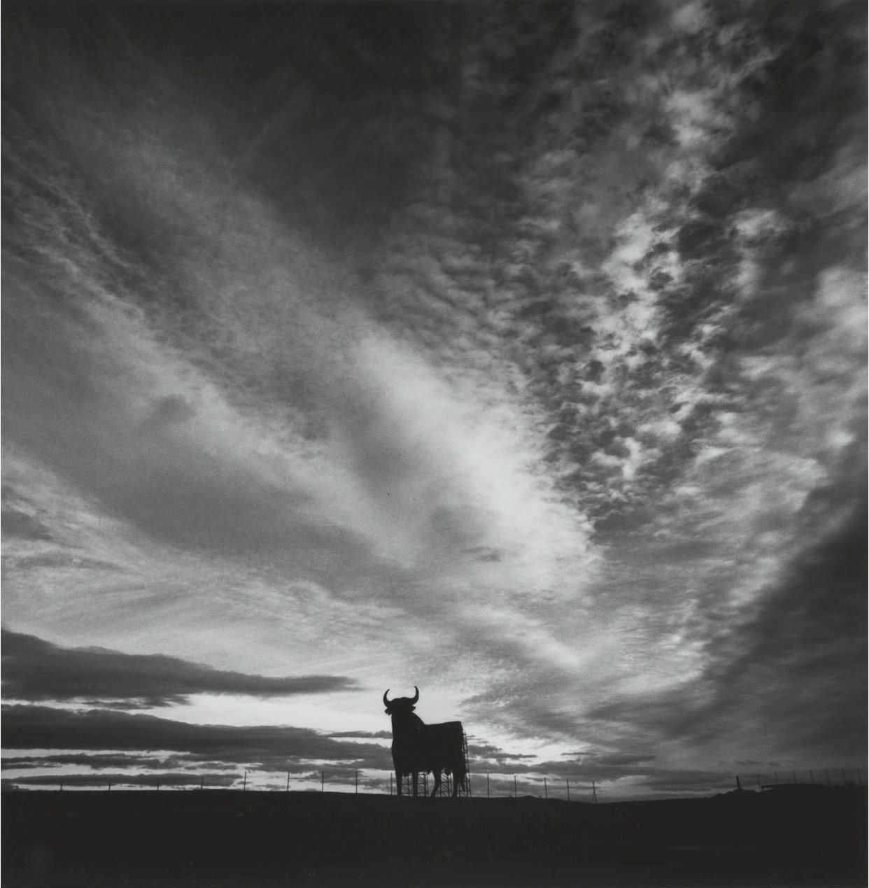MICHAEL KENNA (B. 1953)